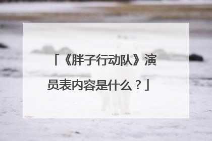 《胖子行动队》演员表内容是什么？