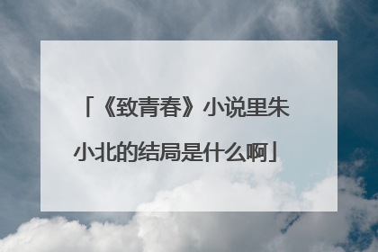 《致青春》小说里朱小北的结局是什么啊