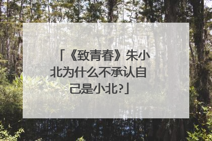 《致青春》朱小北为什么不承认自己是小北?
