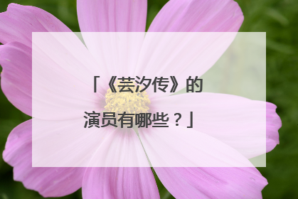 《芸汐传》的演员有哪些？