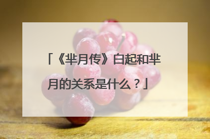 《芈月传》白起和芈月的关系是什么？