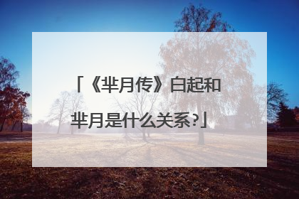 《芈月传》白起和芈月是什么关系?