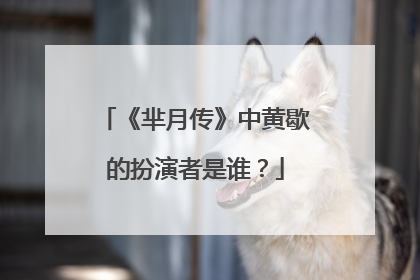 《芈月传》中黄歇的扮演者是谁？