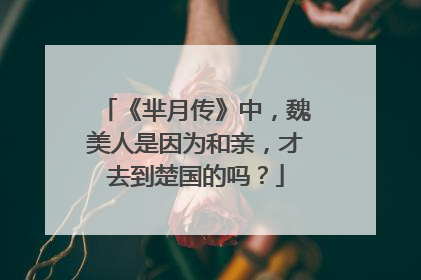 《芈月传》中，魏美人是因为和亲，才去到楚国的吗？