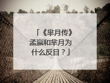 《芈月传》孟嬴和芈月为什么反目？