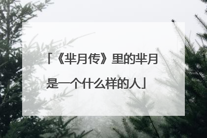 《芈月传》里的芈月是一个什么样的人