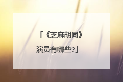 《芝麻胡同》演员有哪些?
