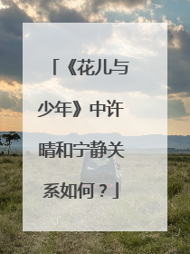 《花儿与少年》中许晴和宁静关系如何?