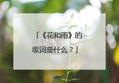 《花和雨》的歌词是什么？
