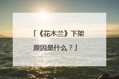 《花木兰》下架原因是什么？