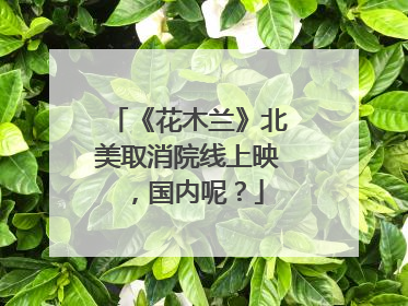 《花木兰》北美取消院线上映,国内呢?