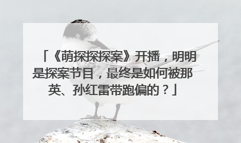 《萌探探探案》开播，明明是探案节目，最终是如何被那英、孙红雷带跑偏的？