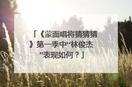 《蒙面唱将猜猜猜》第一季中“林俊杰”表现如何?