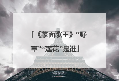 《蒙面歌王》“野草”“莲花”是谁