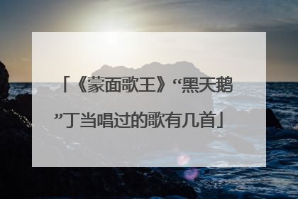 《蒙面歌王》“黑天鹅”丁当唱过的歌有几首