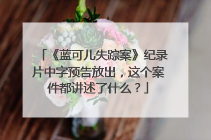 《蓝可儿失踪案》纪录片中字预告放出,这个案件都讲述了什么?