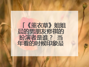 《薰衣草》姐姐晨的男朋友修祺的扮演者是谁？ 当年看的时候印象最深的就是他了，可是一直找不到他的资料