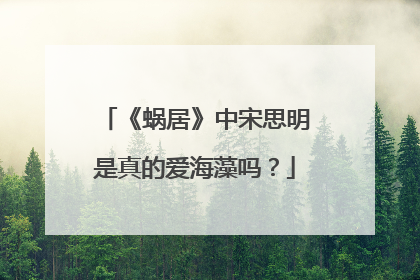 《蜗居》中宋思明是真的爱海藻吗？