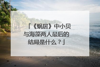 《蜗居》中小贝与海藻两人最后的结局是什么？
