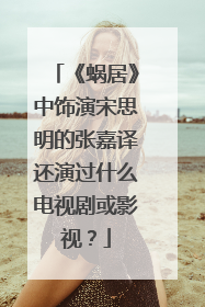 《蜗居》中饰演宋思明的张嘉译还演过什么电视剧或影视?