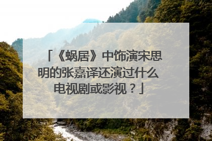 《蜗居》中饰演宋思明的张嘉译还演过什么电视剧或影视？