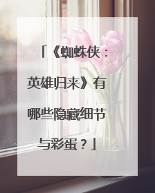 《蜘蛛侠：英雄归来》有哪些隐藏细节与彩蛋？