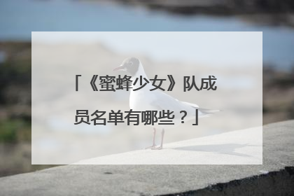 《蜜蜂少女》队成员名单有哪些?