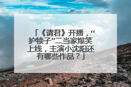 《请君》开播，“护犊子”二当家爆笑上线，主演小沈阳还有哪些作品？