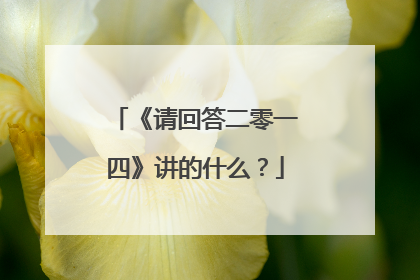 《请回答二零一四》讲的什么？