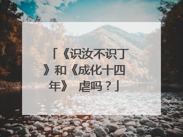《识汝不识丁》和《成化十四年》 虐吗?