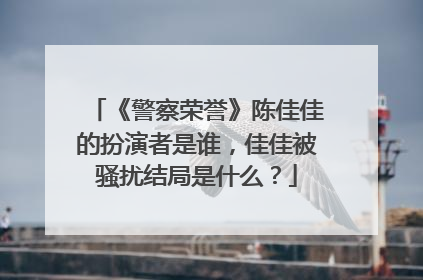 《警察荣誉》陈佳佳的扮演者是谁,佳佳被骚扰结局是什么?
