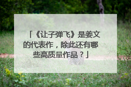 《让子弹飞》是姜文的代表作，除此还有哪些高质量作品？