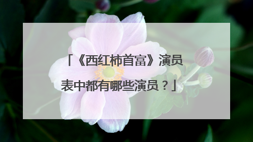《西红柿首富》演员表中都有哪些演员?