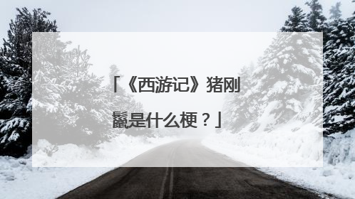 《西游记》猪刚鬣是什么梗?