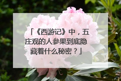 《西游记》中，五庄观的人参果到底隐藏着什么秘密？