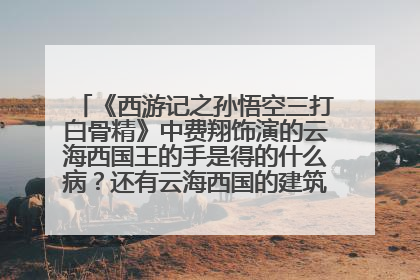 《西游记之孙悟空三打白骨精》中费翔饰演的云海西国王的手是得的什么病?还有云海西国的建筑风格是什么?