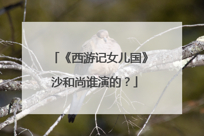 《西游记女儿国》沙和尚谁演的？