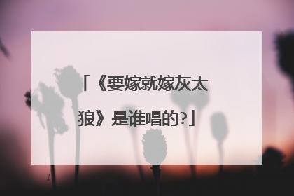 《要嫁就嫁灰太狼》是谁唱的?