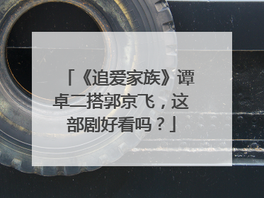 《追爱家族》谭卓二搭郭京飞,这部剧好看吗?