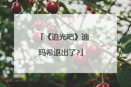 《追光吧》迪玛希退出了?