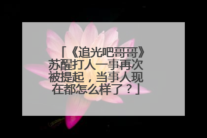 《追光吧哥哥》苏醒打人一事再次被提起,当事人现在都怎么样了?
