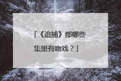 《追捕》都哪些集里有吻戏?