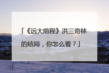 《远大前程》洪三奇林的结局,你怎么看?