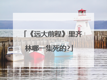 《远大前程》里齐林哪一集死的?