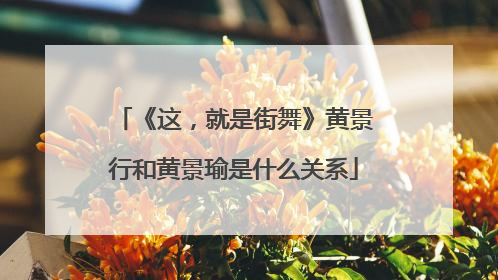 《这,就是街舞》黄景行和黄景瑜是什么关系