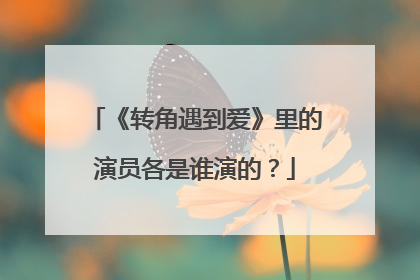 《转角遇到爱》里的演员各是谁演的？