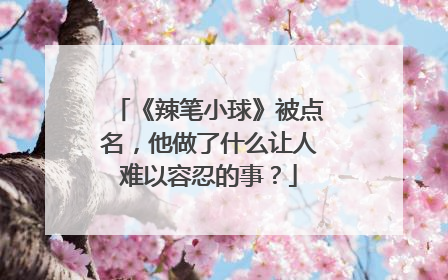 《辣笔小球》被点名,他做了什么让人难以容忍的事?