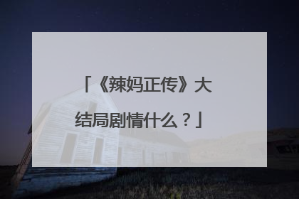 《辣妈正传》大结局剧情什么？
