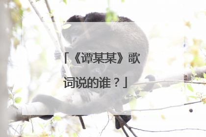 《谭某某》歌词说的谁?