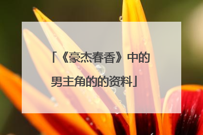 《豪杰春香》中的男主角的的资料